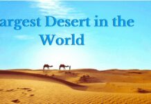 largest Desert in the World Largest desert