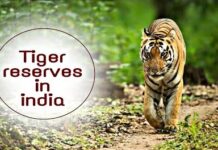 Tiger Reserves of India & Tiger Reserves in India