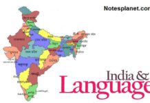languages in India ; Check Daily New Updates language in India