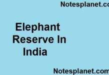Elephant Reserve In India elephant reserve
