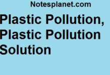 Plastic Pollution; plastic pollution solutions Plastic Pollution