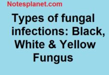 Types of fungal infections: Black, White & Yellow Fungus Types of fungal infections