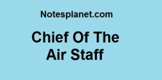 Chief Of The Air Staff