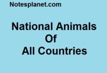 National Animals Of All Countries National Animals Of All Countries