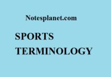 SPORTS TERMINOLOGY; Free Study Material SPORTS TERMINOLOGY