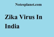 Zika Virus In India || Zika Virus Zika Virus In India