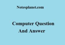 Computer Question And Answer