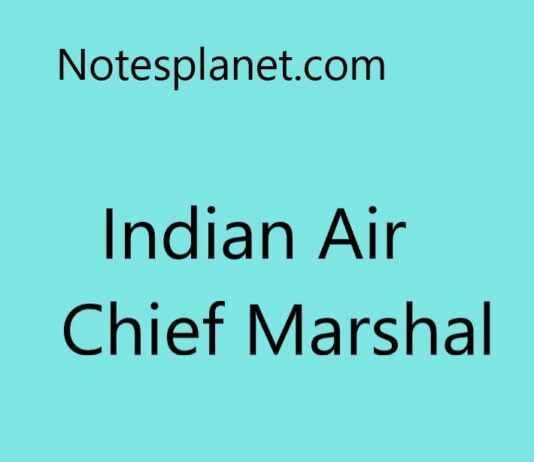 Indian Air Chief Marshal