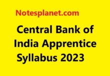Central Bank of India Apprentice Syllabus 2023 Central Bank of India Apprentice Syllabus 2023