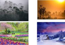 Seasons In India Seasons In India