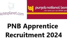PNB Apprentice Recruitment 2024 PNB Apprentice Recruitment 2024