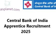 Central Bank of India Apprentice Recruitment 2025 Central Bank of India Apprentice Recruitment 2025